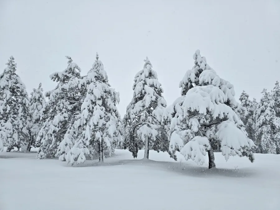 Vremenska prognoza za Zlatibor od 5. januara i naredni period