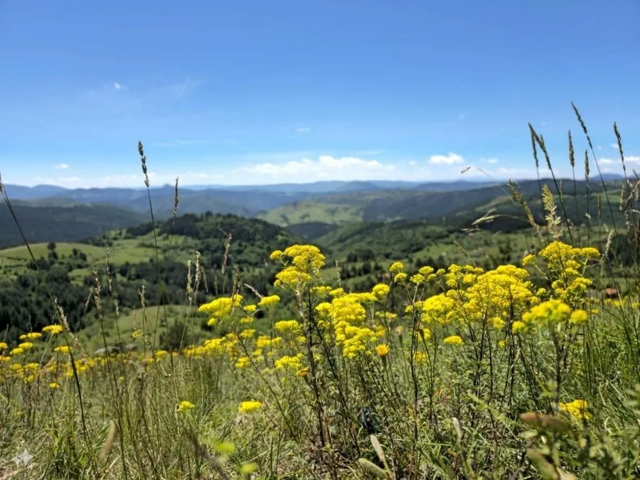 Planinarski uspon na Maglić i poseta Trnovačkom jezeru