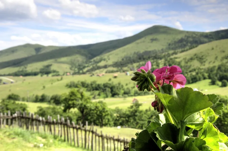 Zlatibor – planina zdravlja, mira i savršenog balansa prirode