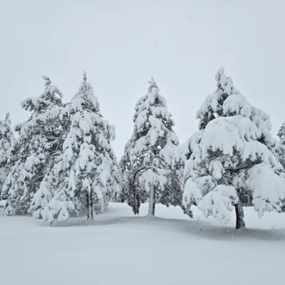 Vremenska prognoza za Zlatibor od 5. januara i naredni period