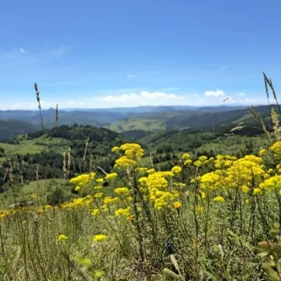 Planinarski uspon na Maglić i poseta Trnovačkom jezeru