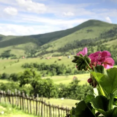 Zlatibor – planina zdravlja, mira i savršenog balansa prirode